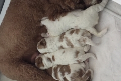 The Whole Crew-Week 2