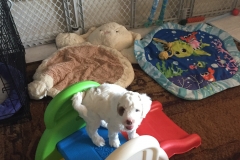 Aria feeling like the Queen that she is...