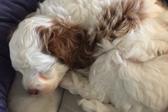 Viviana loving the new bed