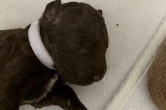 IMG_4472-scaled-e1586237341845