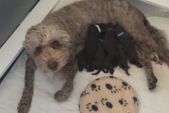 IMG_2872-e1552697546831