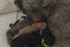 IMG_2877-e1552698041314