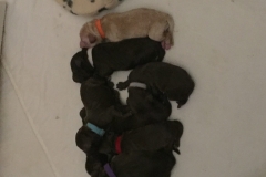 IMG_2881-e1552697978915