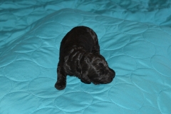 White Girl--aka Abby