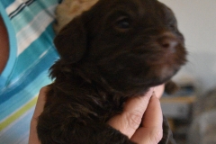 DSC_6812-e1554058703475