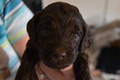 DSC_6815-e1554058886461