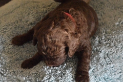 DSC_6831-e1554059232396